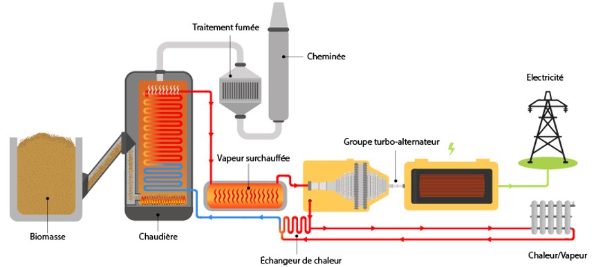 De la découverte du feu à la combustion de la biomasse