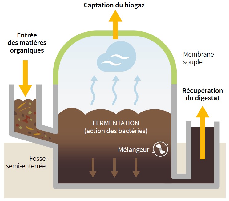 biomasse 2.jpg